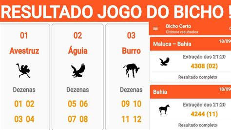 resultado do jogo do bicho da paraíba de ontem das 18 horas - bicho365 resultado